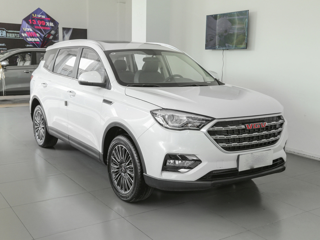 Bình xăng 55L Màu trắng Xe 7 chỗ SINOTRUK VGV Xe SUV số sàn đã qua sử dụng 175 Km / H